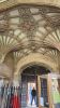 PICTURES/Cambridge University - St. Johns College/t_Fan Ceiling1.jpg